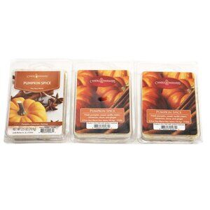 Set of 3 Pumpkin Spice Candle Warmer Soy Wax Melts